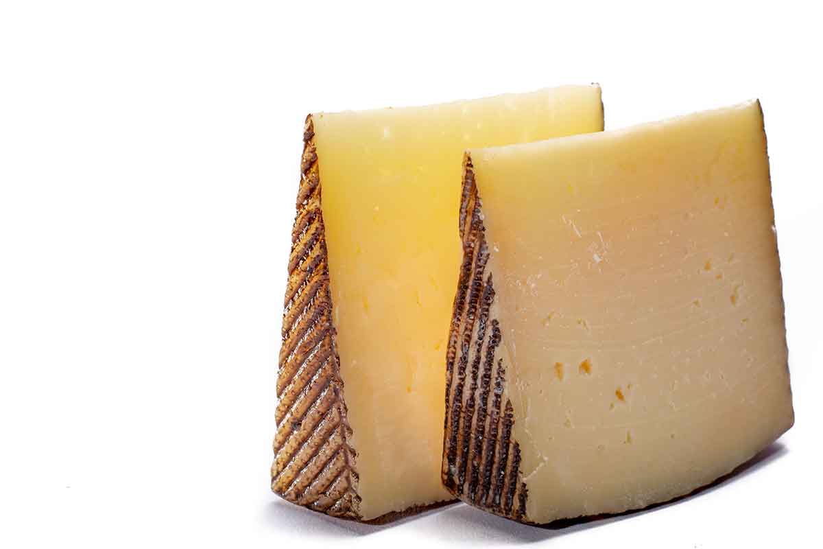 photo of young manchego