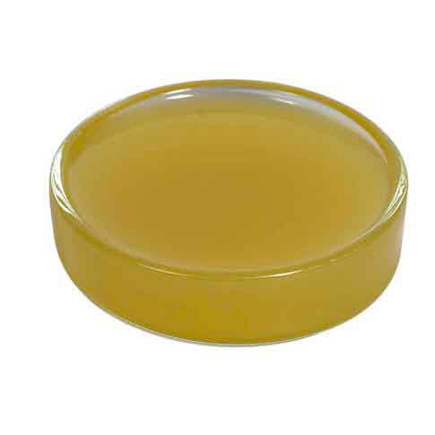 photo of container with lanoline